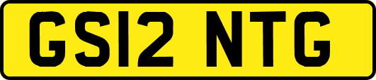 GS12NTG