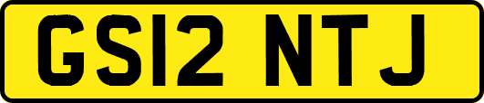 GS12NTJ