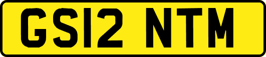GS12NTM