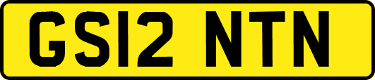 GS12NTN