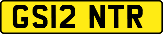 GS12NTR