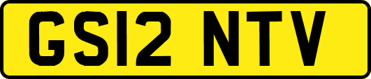 GS12NTV