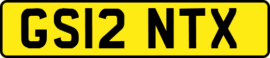 GS12NTX