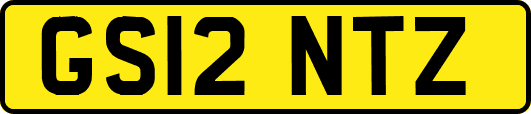 GS12NTZ