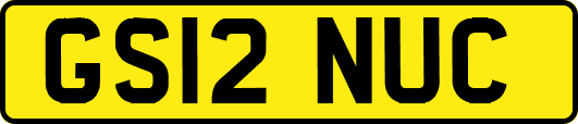 GS12NUC