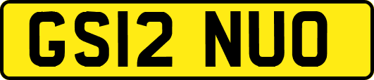 GS12NUO