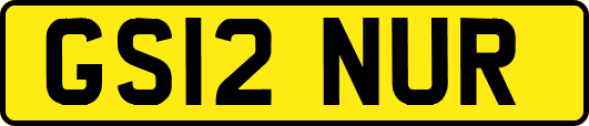 GS12NUR