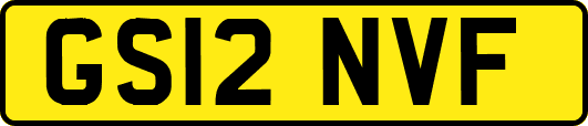GS12NVF