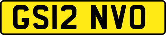 GS12NVO
