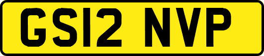 GS12NVP
