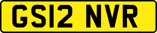 GS12NVR
