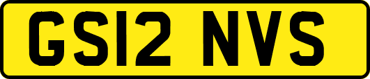 GS12NVS