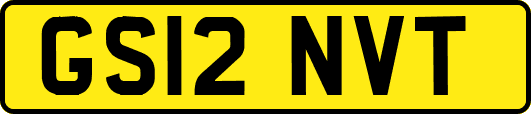 GS12NVT