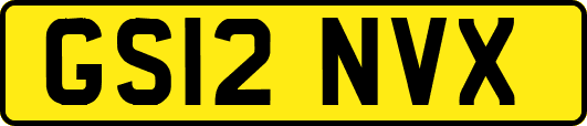 GS12NVX