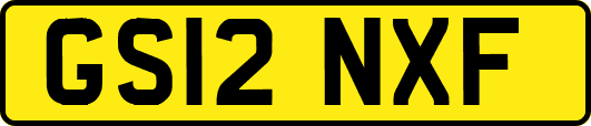 GS12NXF
