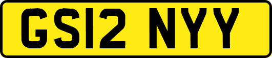 GS12NYY