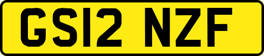 GS12NZF