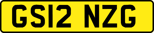 GS12NZG
