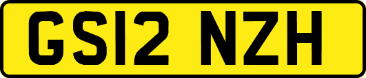 GS12NZH