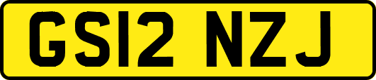 GS12NZJ
