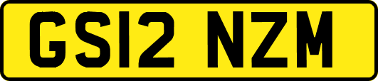 GS12NZM