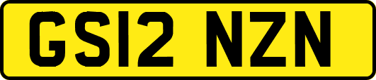 GS12NZN