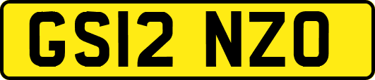 GS12NZO