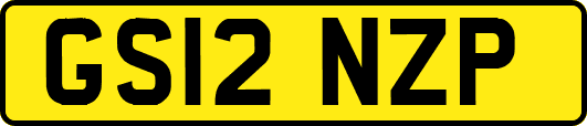 GS12NZP