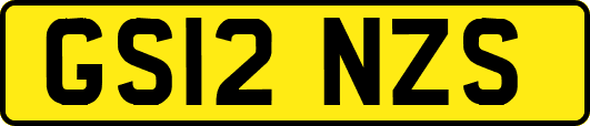 GS12NZS