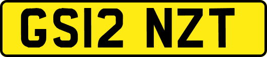 GS12NZT