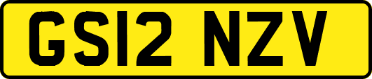 GS12NZV
