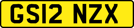GS12NZX