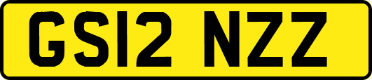 GS12NZZ