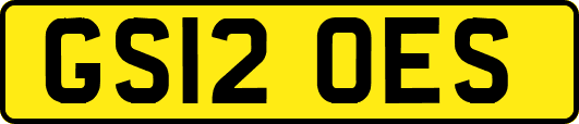 GS12OES