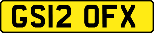 GS12OFX