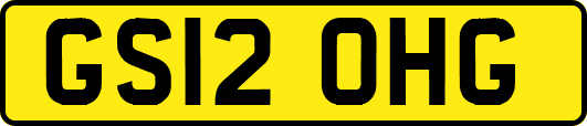 GS12OHG