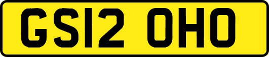 GS12OHO