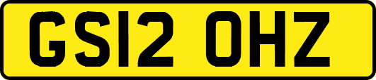 GS12OHZ