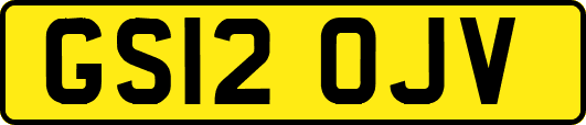 GS12OJV