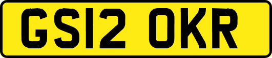 GS12OKR