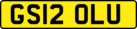 GS12OLU