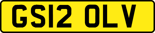 GS12OLV