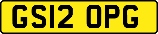 GS12OPG
