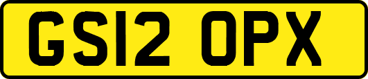 GS12OPX