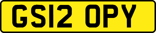 GS12OPY