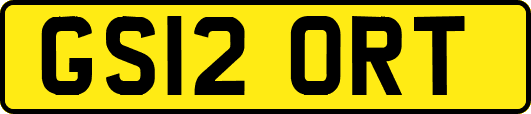 GS12ORT
