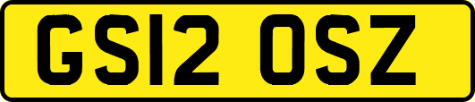 GS12OSZ