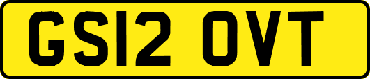 GS12OVT