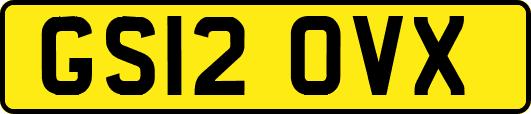 GS12OVX