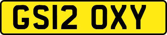 GS12OXY